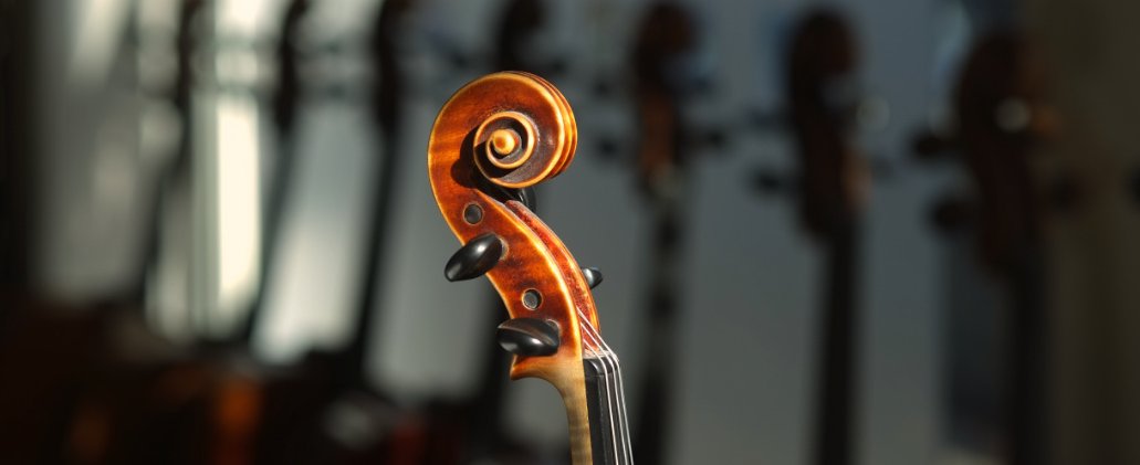 scroll of an old fine violin
